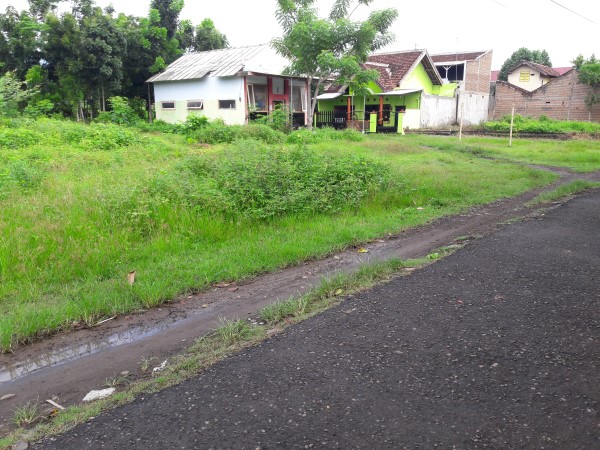 Tanah Cungking Strategis Murah -propertybanyuwangi (2)