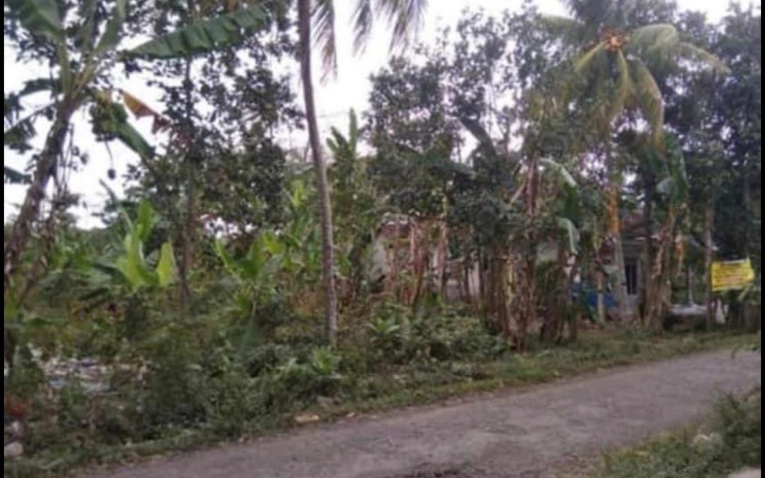 Dijual Tanah Lokasi Super Strategis di Srono Banyuwangi Cocok Untuk Kavlingan (untuk usaha properti)