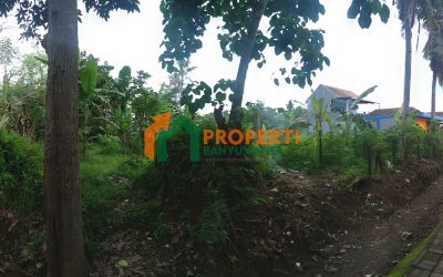 Dijual Cepat Tanah Dekat Hotel Ilira Banyuwangi