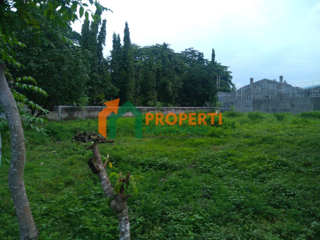 dijual tanah a di bulusan dekat jalan raya dekat ketapang