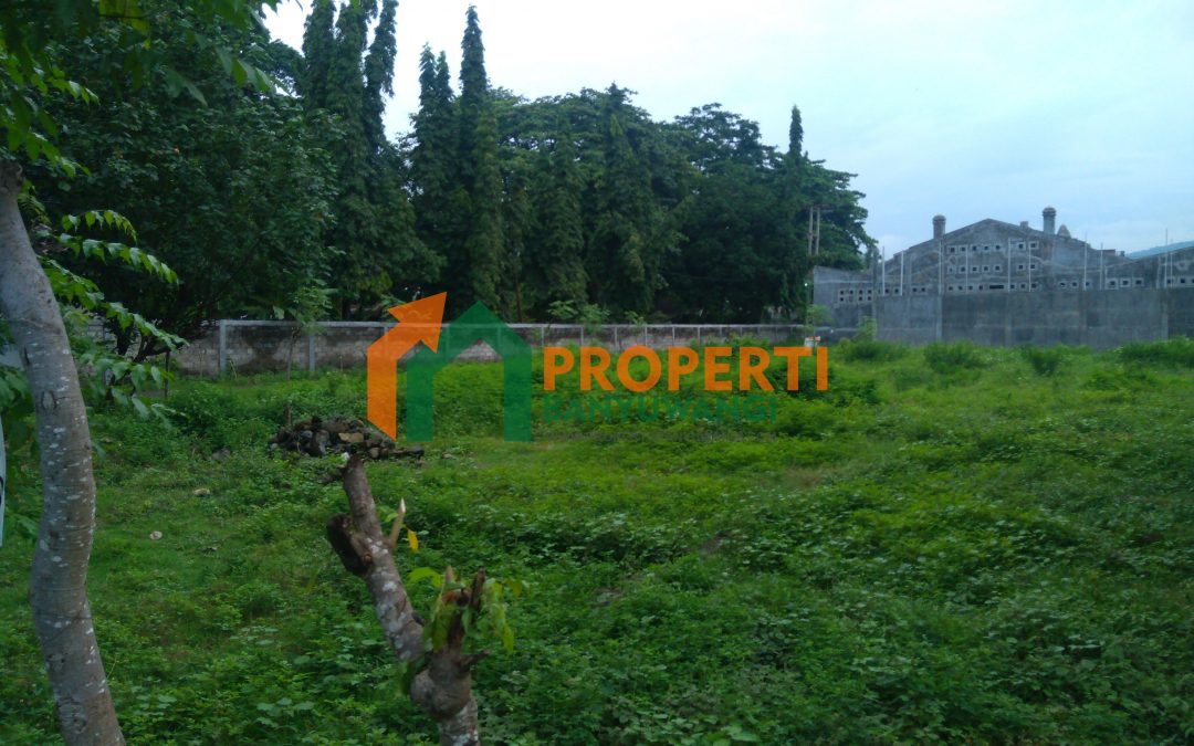 Dijual Tanah A (ukuran 10 METER x 10 METER) bulusan dekat jalan raya