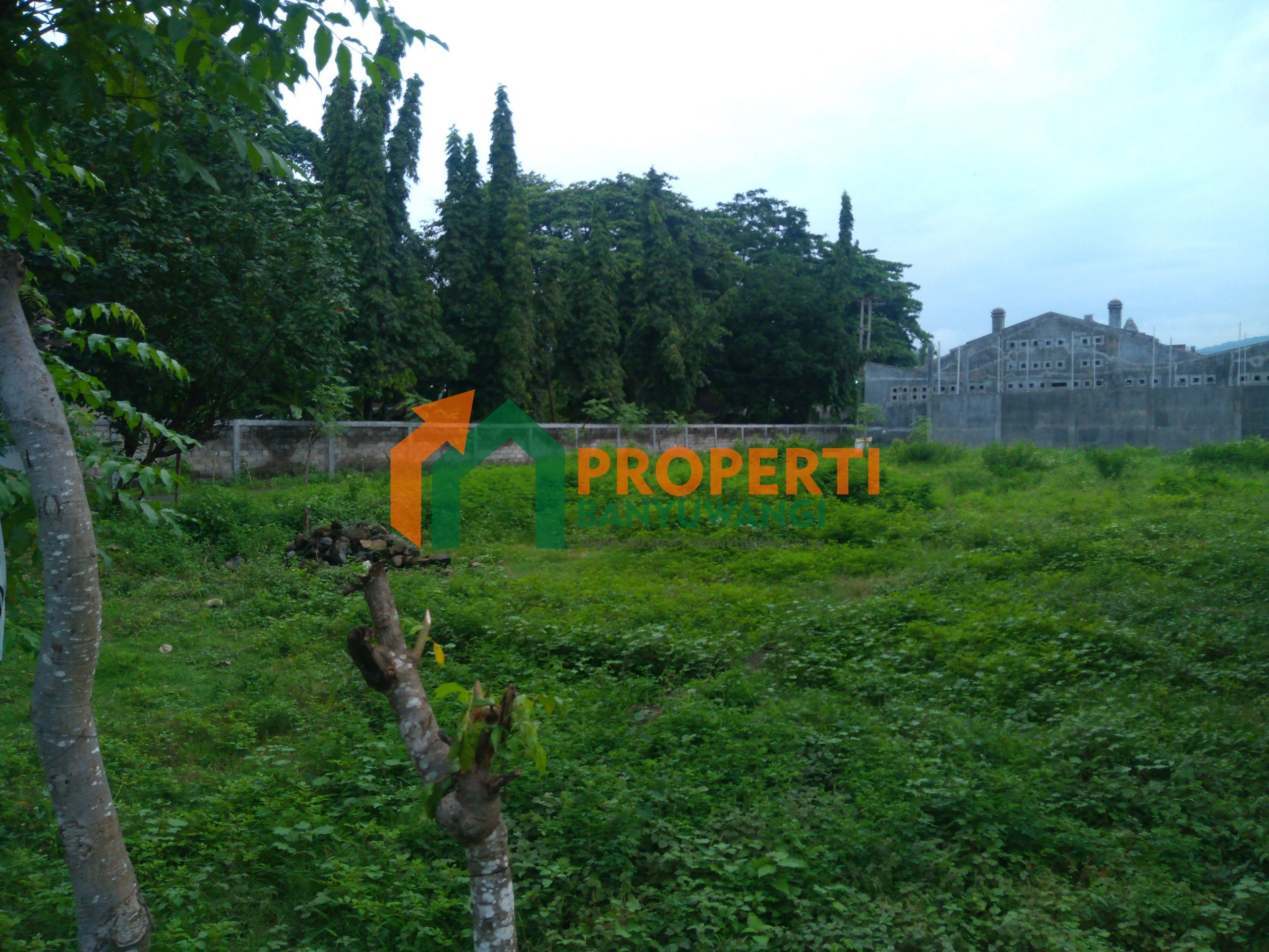 dijual tanah a di bulusan dekat jalan raya dekat ketapang